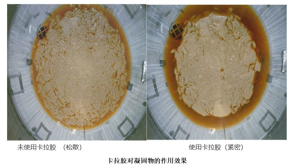 卡拉胶 图3.jpg